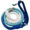 Show in main carousel: Sassy Woof Disney Princess Jasmine Rope Dog Leash, 5-ft long, 0.6-in wide slide 3 of 6