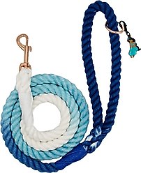 Sassy Woof Disney Princess Jasmine Rope Dog Leash, 5-ft long, 0.6-in wide