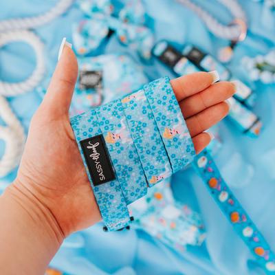 Show full view: Sassy Woof Disney Princess Cinderella Dog Leash, 5-ft long, 4/5-in wide slide 5 of 7