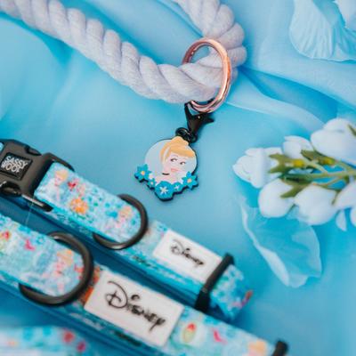 Show full view: Sassy Woof Disney Princess Cinderella Rope Dog Leash, 5-ft long, 0.6-in wide slide 5 of 5
