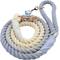 Show in main carousel: Sassy Woof Disney Princess Cinderella Rope Dog Leash, 5-ft long, 0.6-in wide slide 2 of 5