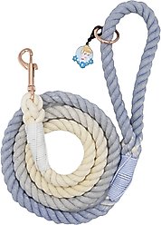 Sassy Woof Disney Princess Cinderella Rope Dog Leash, 5-ft long, 0.6-in wide