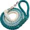 Show in main carousel: Sassy Woof Disney Princess Ariel Rope Dog Leash, 5-ft long, 0.6-in wide slide 2 of 5