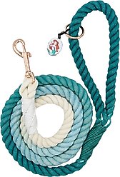 Sassy Woof Disney Princess Ariel Rope Dog Leash, 5-ft long, 0.6-in wide