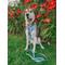 Show in main carousel: Sassy Woof Disney Princess Ariel Adjustable Dog Harness, Medium:18 to 25-in chest slide 5 of 6
