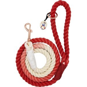 Sassy Woof Disney Princess Snow White Rope Dog Leash, 5-ft long, 0.6-in wide