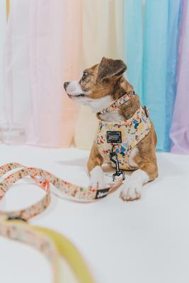 Show full view: Sassy Woof Disney Princess Belle Adjustable Dog Harness, Medium:18 to 25-in chest slide 5 of 7