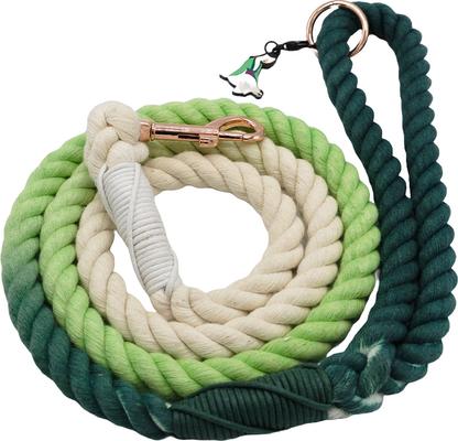 Show full view: Sassy Woof Disney Princess Mulan Rope Dog Leash, 5-ft long, 0.6-in wide slide 3 of 5