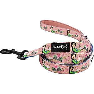 Sassy Woof Disney Princess Mulan Dog Leash, 5-ft long, 4/5-in wide