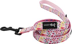 Sassy Woof Disney Princess Aurora Dog Leash, 5-ft long, 4/5-in wide