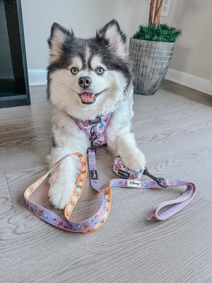Show full view: Sassy Woof Alice in Wonderland Dog Leash, Purple, 5-ft long, 4/5-in wide slide 6 of 6