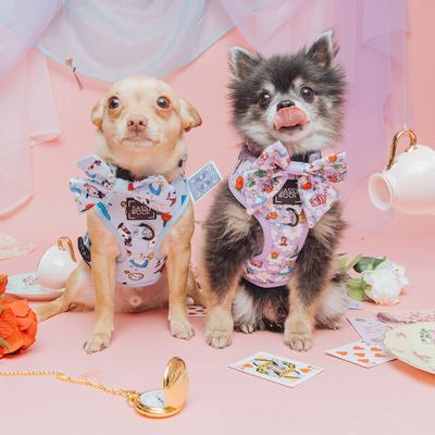 Show full view: Sassy Woof Alice in Wonderland Adjustable Dog Harness, Purple, X-Small: 14 to 19-in chest slide 5 of 6