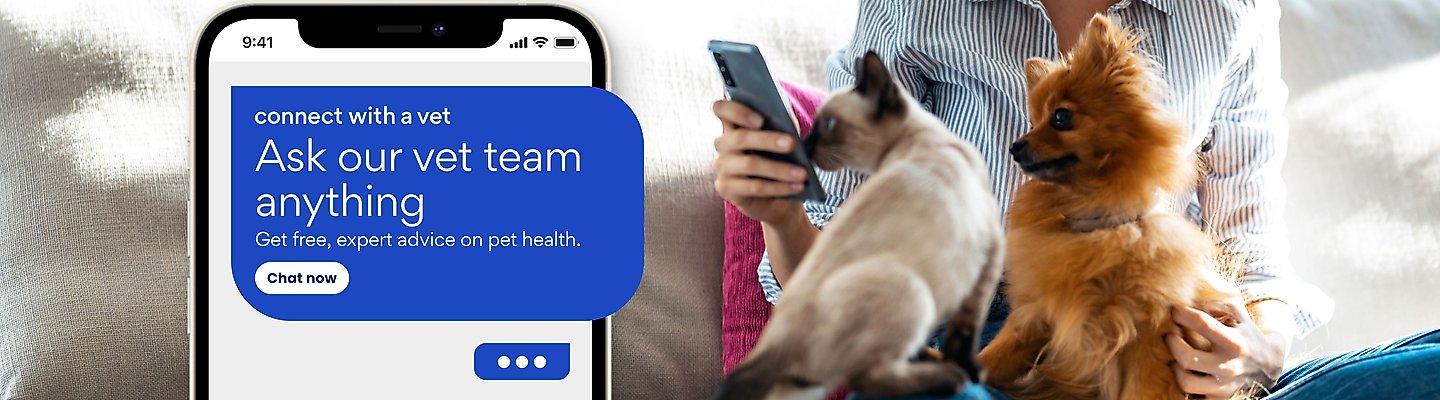 Connect with a vet: Ask our vet team anything. Get free, expert advice on pet health. Chat now.