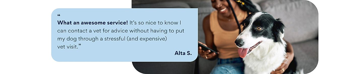 Customer testimonial: "What an awesome service! It's so nice to know I can contact a vet for advice without having to put my dog through a stressful vet visit" - Alta
