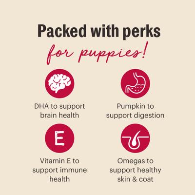 Show full view: The Honest Kitchen Human Grade Meaty Littles Lamb & Salmon Dog Treats, 4-oz bag slide 7 of 9