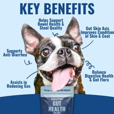 Show full view: Azestfor Gut Health 3-in-1 Prebotic Probotic Postbiotic Apple Flavored Powder Supplement for Dogs, 2.1-oz bag slide 3 of 10