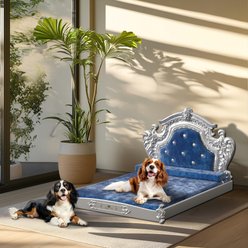 BingoPaw European-Style Luxury Washable Dutch Velvet Dog Bed, Blue, Large