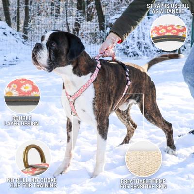 Show full view: Pettsie No-Pull Reflective Dog Harness & Bracelet, Pink, Large: 23.5 to 32.5-in chest, natural slide 3 of 8