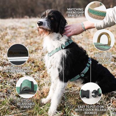 Show full view: Pettsie No-Pull Reflective Dog Harness & Bracelet, Green, Large: 23.5 to 32.5-in chest, natural slide 2 of 8