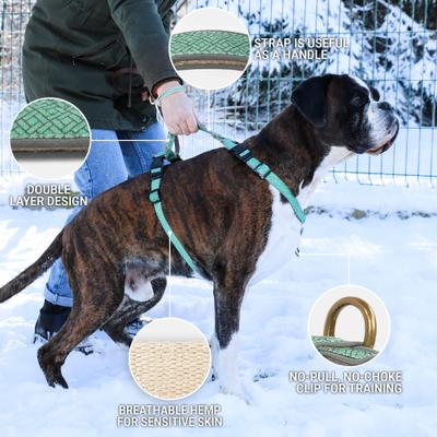 Show full view: Pettsie No-Pull Reflective Dog Harness & Bracelet, Green, Large: 23.5 to 32.5-in chest, natural slide 3 of 8
