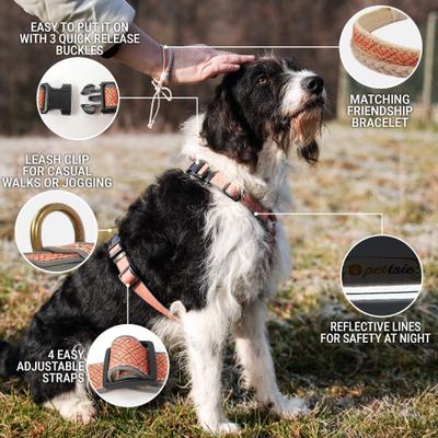 Show full view: Pettsie No-Pull Reflective Dog Harness & Bracelet, Orange, Small: 18.5 to 24-in chest, natural slide 2 of 8