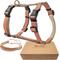 Show in main carousel: Pettsie No-Pull Reflective Dog Harness & Bracelet, Orange, Small: 18.5 to 24-in chest, natural slide 1 of 8