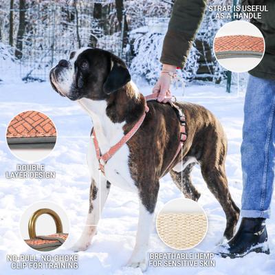 Show full view: Pettsie No-Pull Reflective Dog Harness & Bracelet, Orange, Small: 18.5 to 24-in chest, natural slide 3 of 8