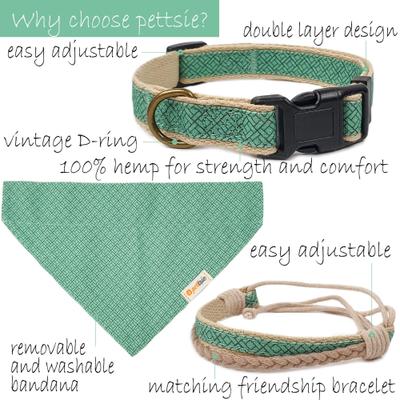 Show full view: Pettsie Dog Collar & Removable Bandana, Green, Large: 26-in neck, 1-in wide, natural slide 4 of 8
