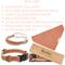 Show in main carousel: Pettsie Dog Collar & Removable Bandana, Orange, Small: 15.5-in neck, 3/8-in wide, natural slide 7 of 7