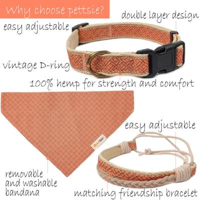 Show full view: Pettsie Dog Collar & Removable Bandana, Orange, Small: 15.5-in neck, 3/8-in wide, natural slide 3 of 7