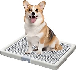 Smart Paws Dog Potty Training Toilet, Medium