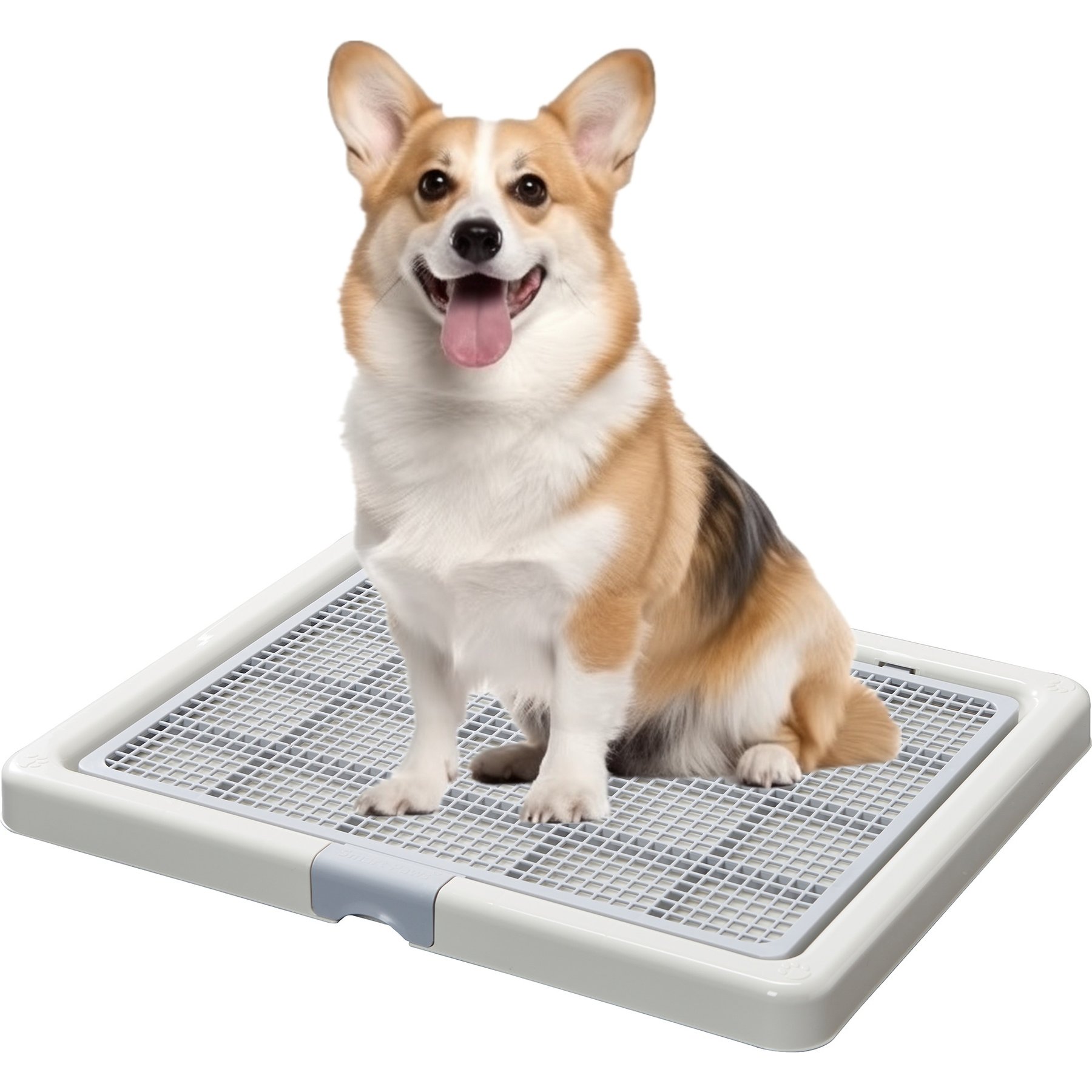 Smart Paws Dog Potty Training Toilet, Medium