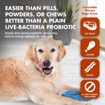 Show full view: Liquid-Vet K9 Pre & PostBiotic Support Pot Roast Flavor Dog Digestive Aid, 8-fl oz bottle, 2 count slide 7 of 10