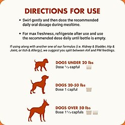 Liquid-Vet K9 Pre & PostBiotic Support Bacon Flavor Dog Digestive Aid, 8-fl oz bottle, 2 count slide 2 of 8
