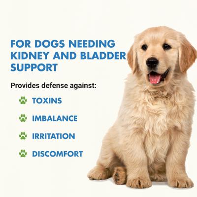 Show full view: Liquid-Vet Kidney & Bladder Support Bacon Flavor Dog Supplement, 32-fl oz bottle slide 3 of 10