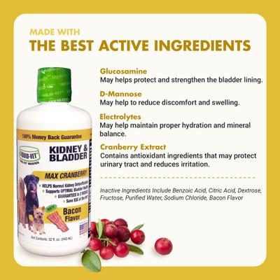 Show full view: Liquid-Vet Kidney & Bladder Support Bacon Flavor Dog Supplement, 32-fl oz bottle slide 5 of 10