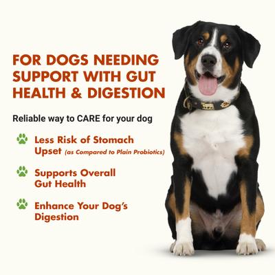 Show full view: Liquid-Vet K9 Pre & PostBiotic Support Pot Roast Flavor Dog Digestive Aid, 32-fl oz bottle slide 3 of 10