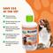 Show in main carousel: Liquid-Vet K9 Pre & PostBiotic Support Chicken Flavor Dog Digestive Aid, 32-fl oz bottle slide 6 of 10