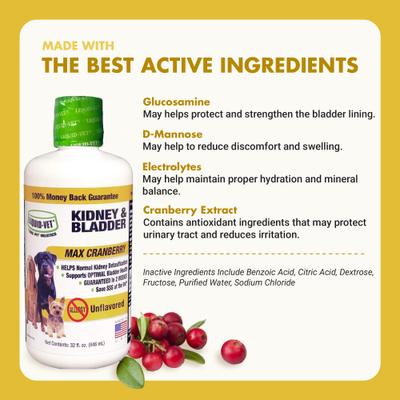 Show full view: Liquid-Vet Kidney & Bladder Support Max Cranberry Unflavored Dog Supplement, 32-fl oz bottle slide 5 of 12