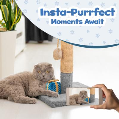 Show full view: PUPROAR Gift Box Catnip Cat Toy slide 6 of 8