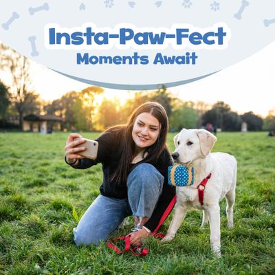 Show full view: PUPROAR Gift Box Dog Toy slide 6 of 8