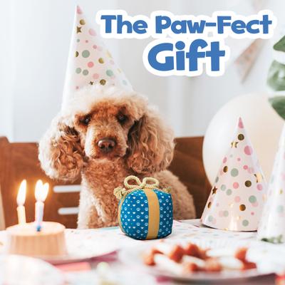 Show full view: PUPROAR Gift Box Dog Toy slide 4 of 8