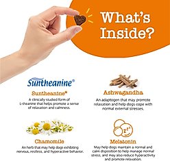 Zesty Paws Advanced Hemp Melatonin Calming Bites Turkey Flavored Soft Chews Composure Supplement for Dogs, 20 count slide 2 of 6