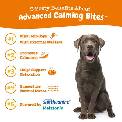 Show full view: Zesty Paws Advanced Hemp Melatonin Calming Bites Turkey Flavored Soft Chews Composure Supplement for Dogs, 20 count slide 3 of 9