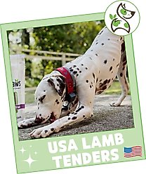 Nature Gnaws USA Lamb Tenders Natural Dog Chew Treats, 1-lb bag slide 2 of 7