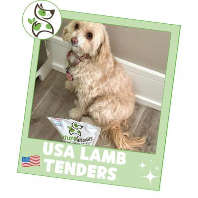 Show full view: Nature Gnaws USA Lamb Tenders Natural Dog Chew Treats, 1-lb bag slide 7 of 8