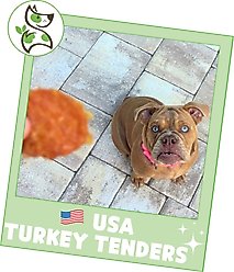 Nature Gnaws USA Turkey Tenders Natural Dog Chew Treats, 1-lb bag slide 2 of 7