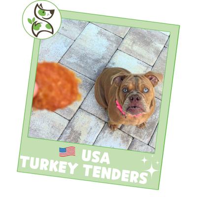 Show full view: Nature Gnaws USA Turkey Tenders Natural Dog Chew Treats, 1-lb bag slide 7 of 9