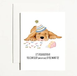 It's Your Birthday You Can Sleep & Eat Cake if You Want To Greeting Card