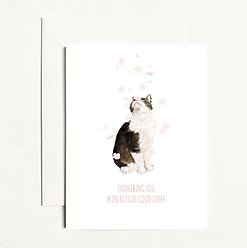 Showering You with Lot's of Good Vibes